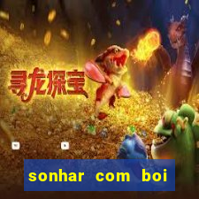 sonhar com boi branco jogo do bicho